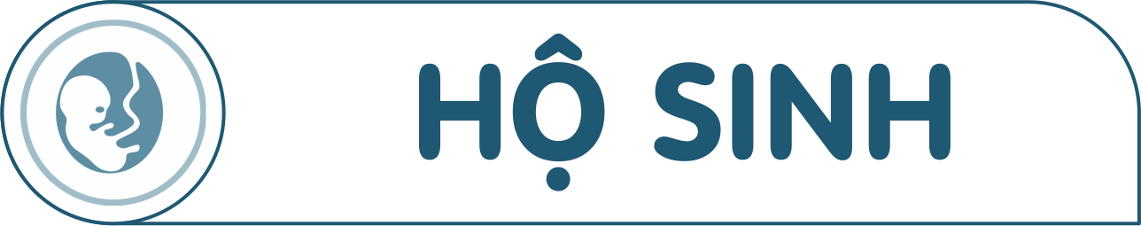 Ngành Hộ sinh
